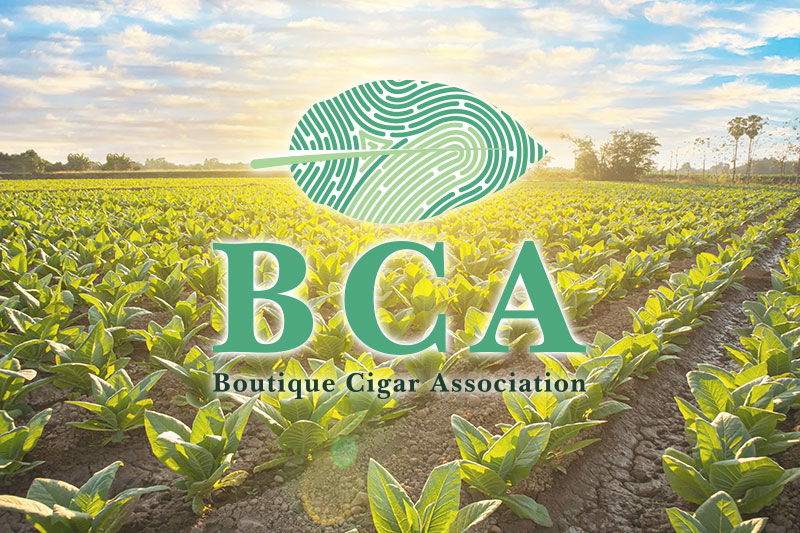 Boutique Cigar Association