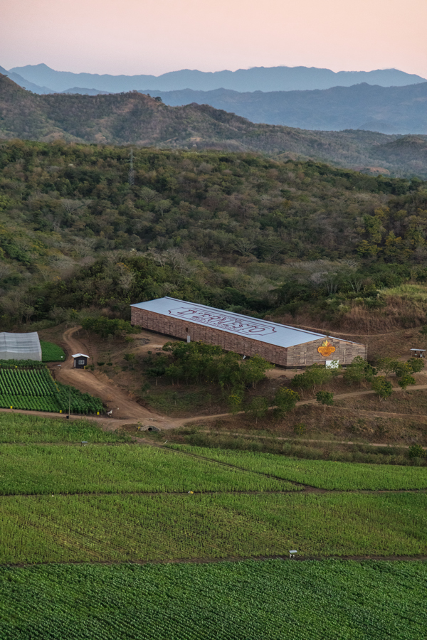 Oliva Cigars | Sunrise in Nicaragua. Photo: Annick Vernimmen