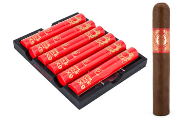 Asylum April Fools’ 2024 Year of the Dragon Unveiled at PCA24