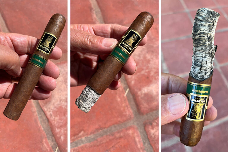 The Blend: Wildfire Wanderer Robusto