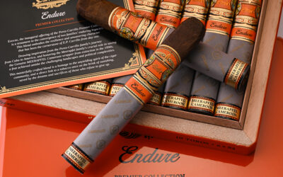 E.P. Carrillo Launches Endure