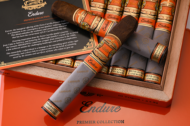 E.P. Carrillo Endure