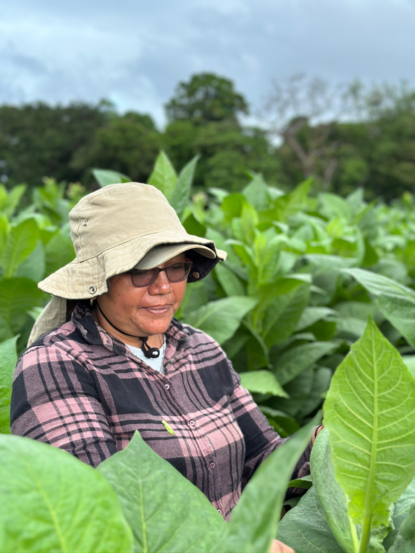 Finca Saravia, Ometepe Island