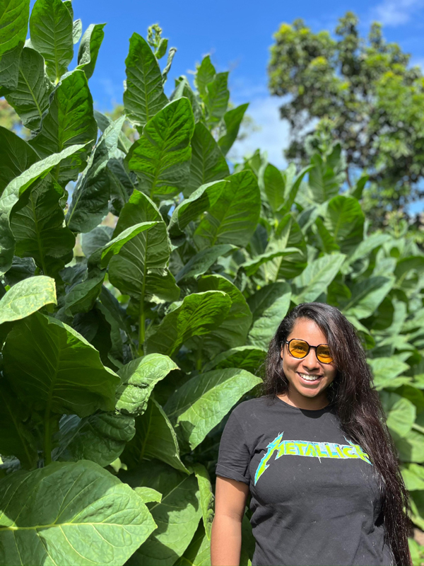 Finca Saravia, Ometepe Island