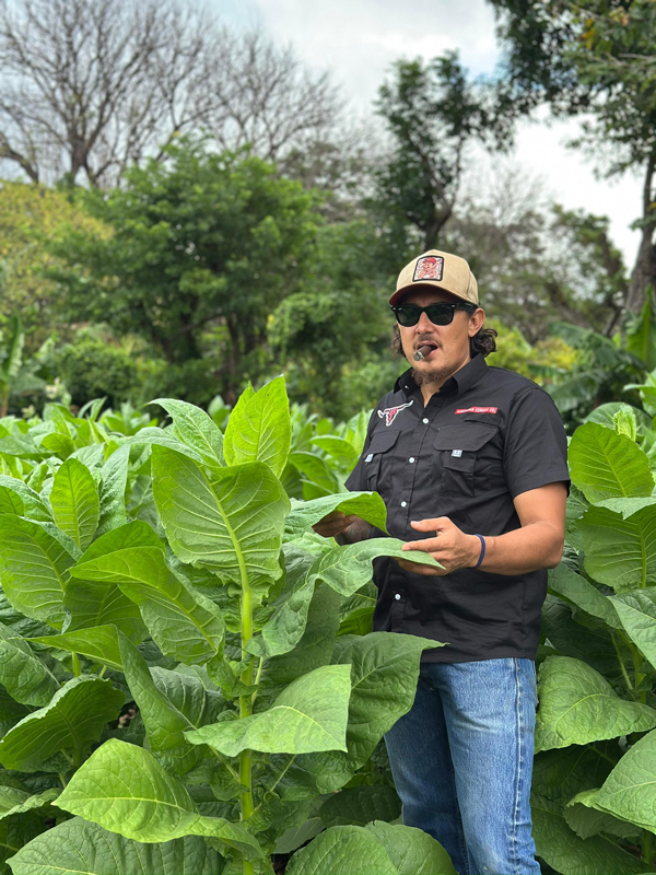 Finca Saravia, Ometepe Island