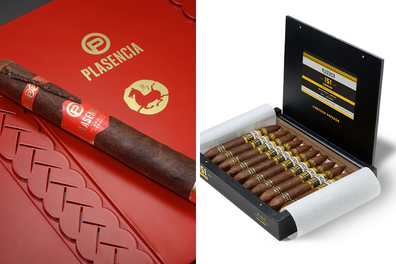 Plasencia Cigars | Year of the Horse 2025, Cosecha TAA 2025 Exclusive