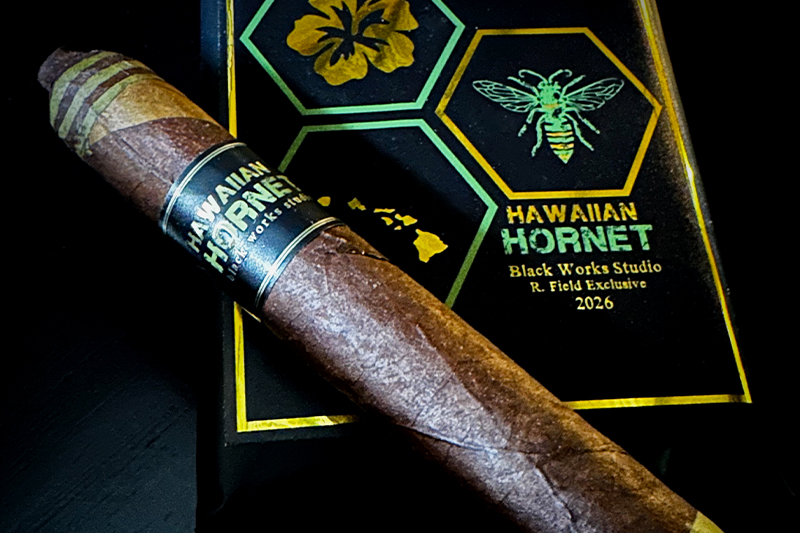 Black Works Studio | Hawaii Hornet