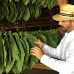 Danny Difabio | Rodriguez Cigars