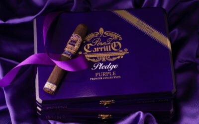 Casa Carrillo Introduces Pledge Purple