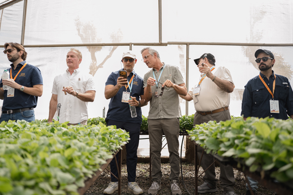 Procigar 2026 | La Flor Dominicana Tobacco Field Tour