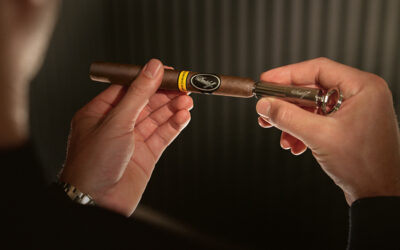 Oettinger Davidoff Reports 2025 Sales Growth, Expands Production Capacity