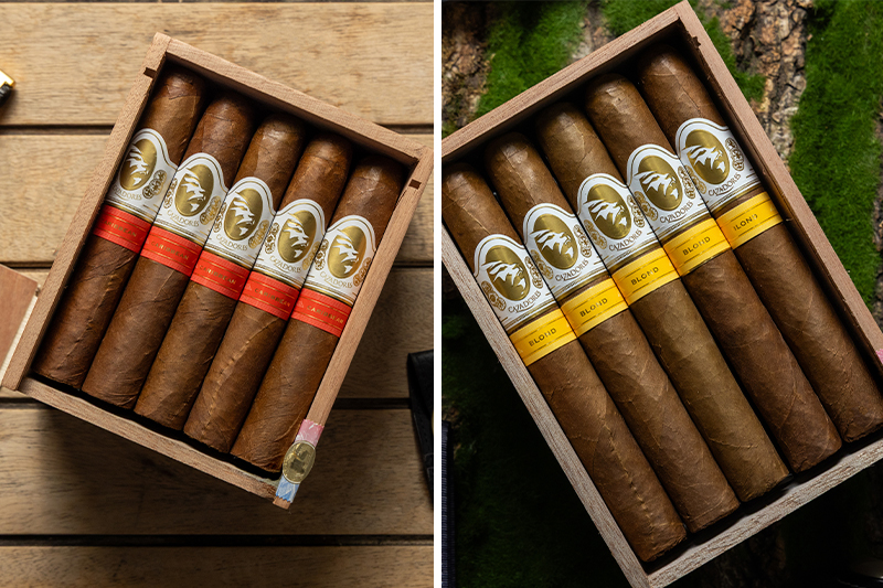 La Aurora Cigars | Cazadores Flavors